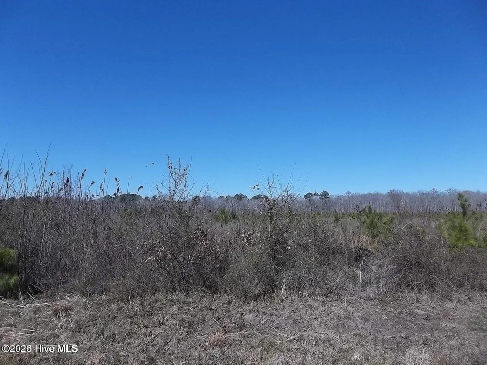 Tbd Boat Ramp Road New Hope, NC 27944