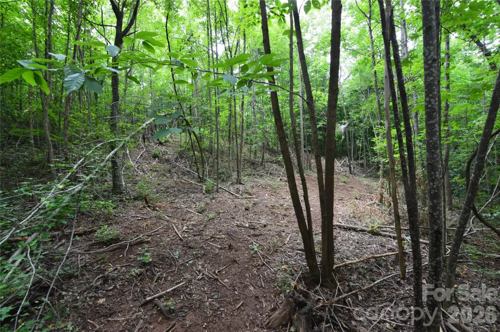607 Anthony Grove Road Crouse, NC 28033
