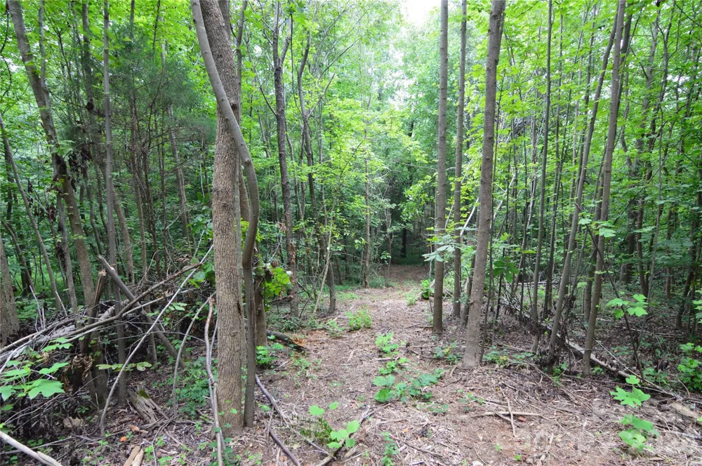 607 Anthony Grove Road Crouse, NC 28033