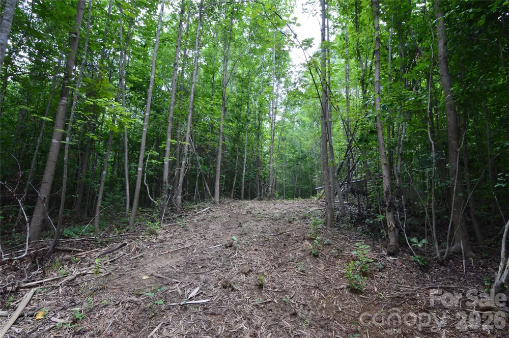 607 Anthony Grove Road Crouse, NC 28033