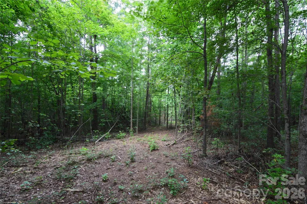 607 Anthony Grove Road Crouse, NC 28033