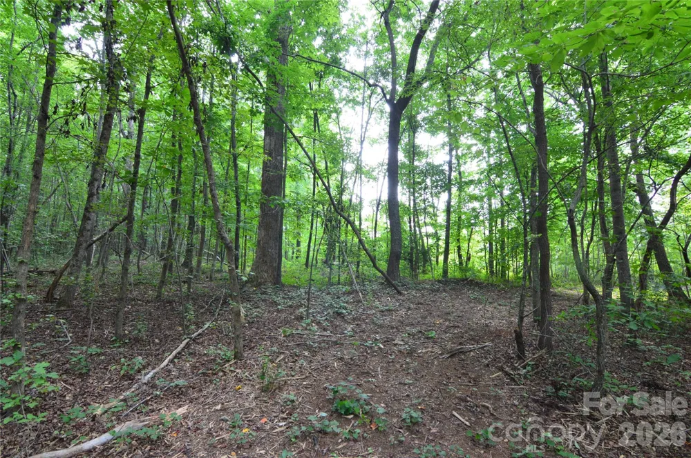 607 Anthony Grove Road Crouse, NC 28033