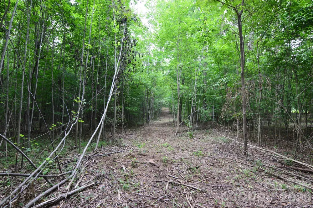 607 Anthony Grove Road Crouse, NC 28033