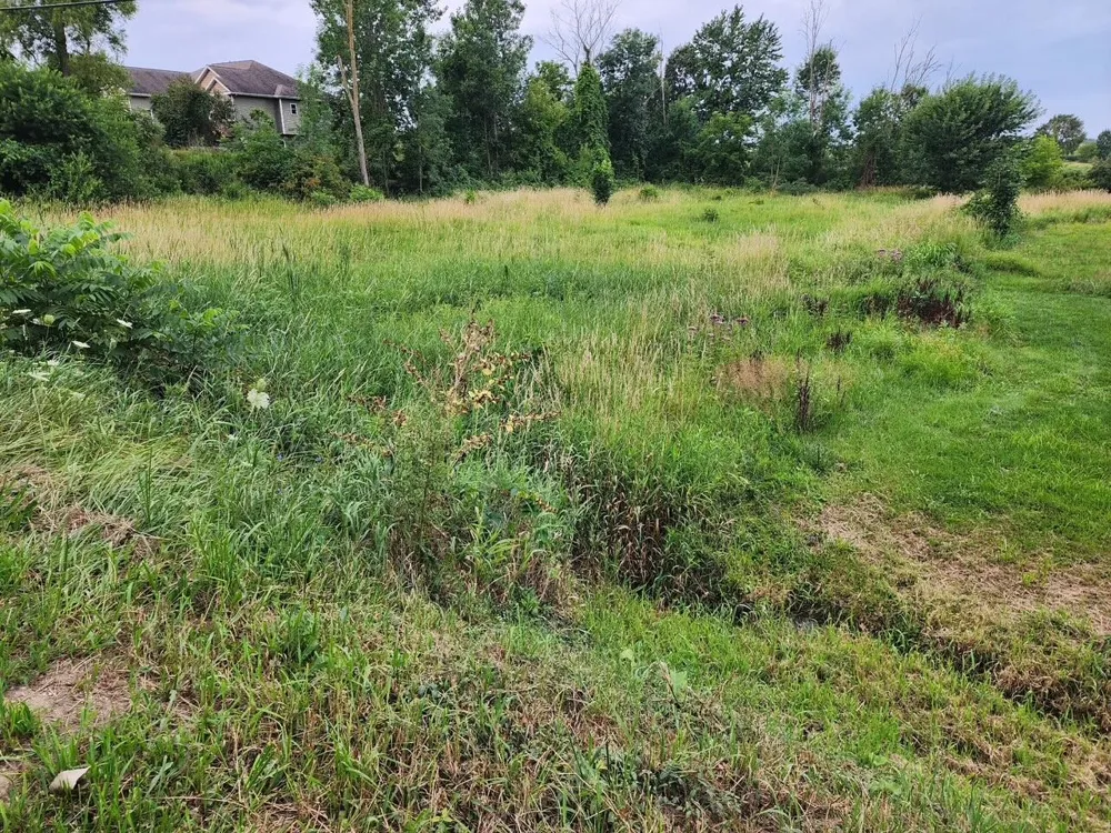 24th Avenue Hudsonville, MI 49426