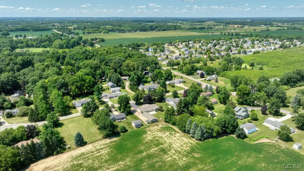 2915 Lee Marie Drive Adrian Township, MI 49221