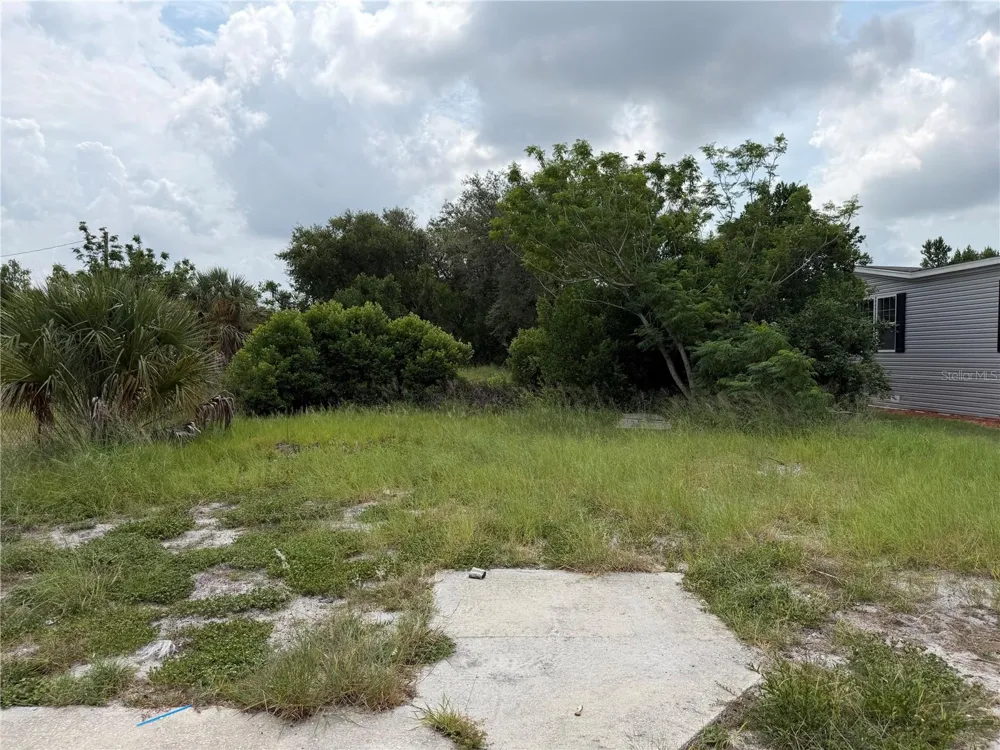 2438 EDWIN STREET NE Winter Haven, FL 33881