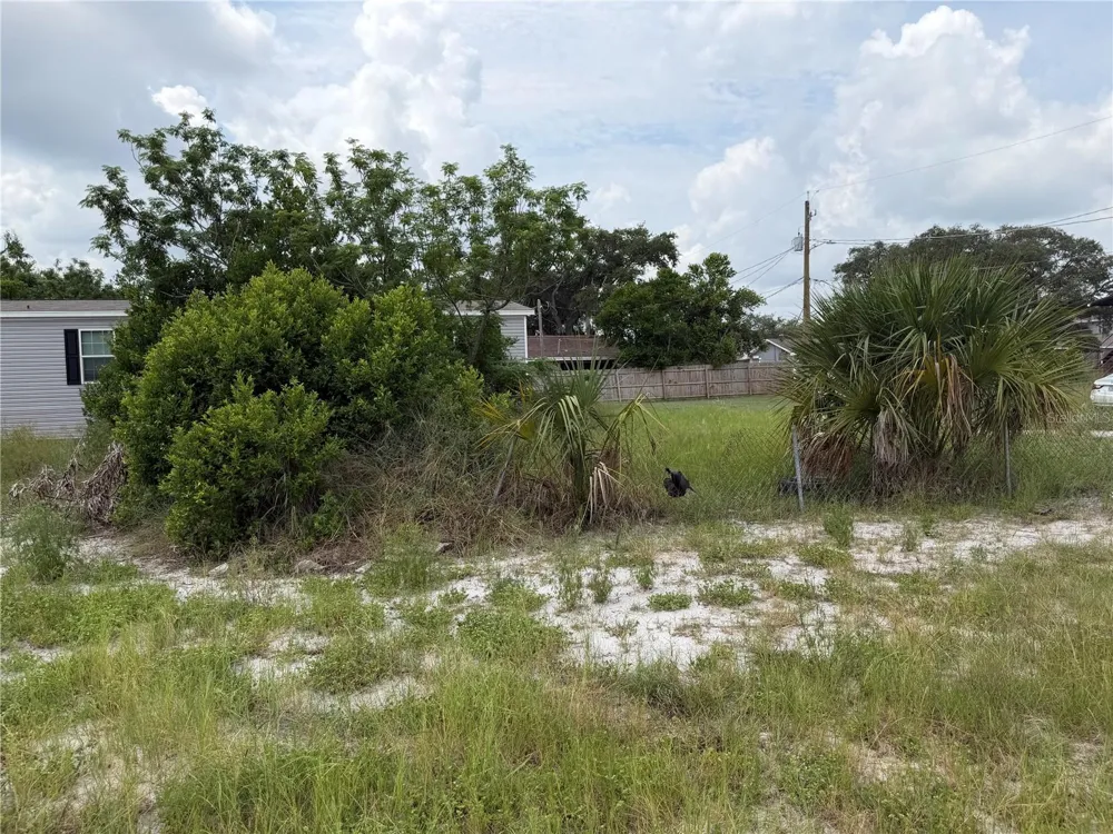 2438 EDWIN STREET NE Winter Haven, FL 33881