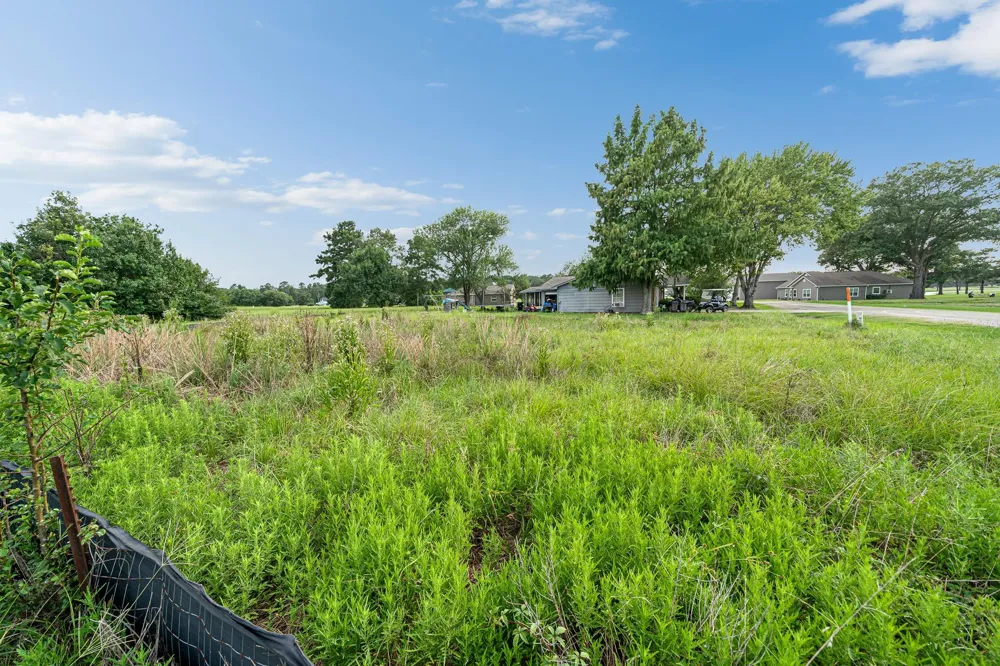 81 Meadowview Drive Trinity, TX 75862