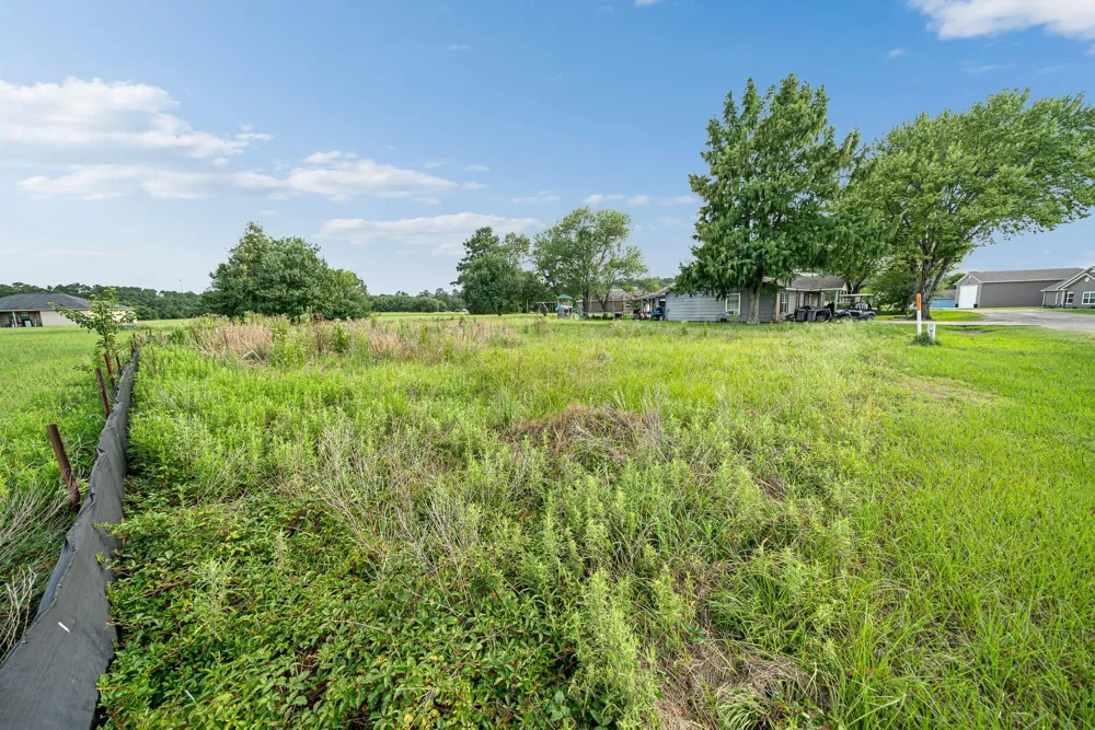 81 Meadowview Drive Trinity, TX 75862