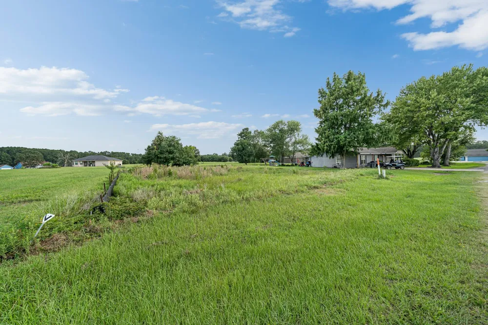 81 Meadowview Drive Trinity, TX 75862