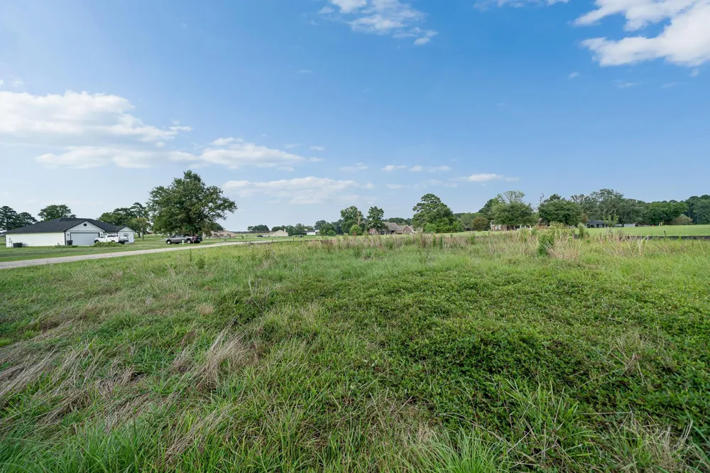 81 Meadowview Drive Trinity, TX 75862