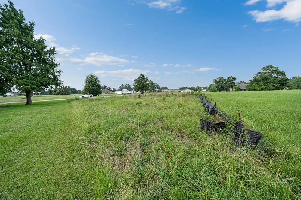81 Meadowview Drive Trinity, TX 75862