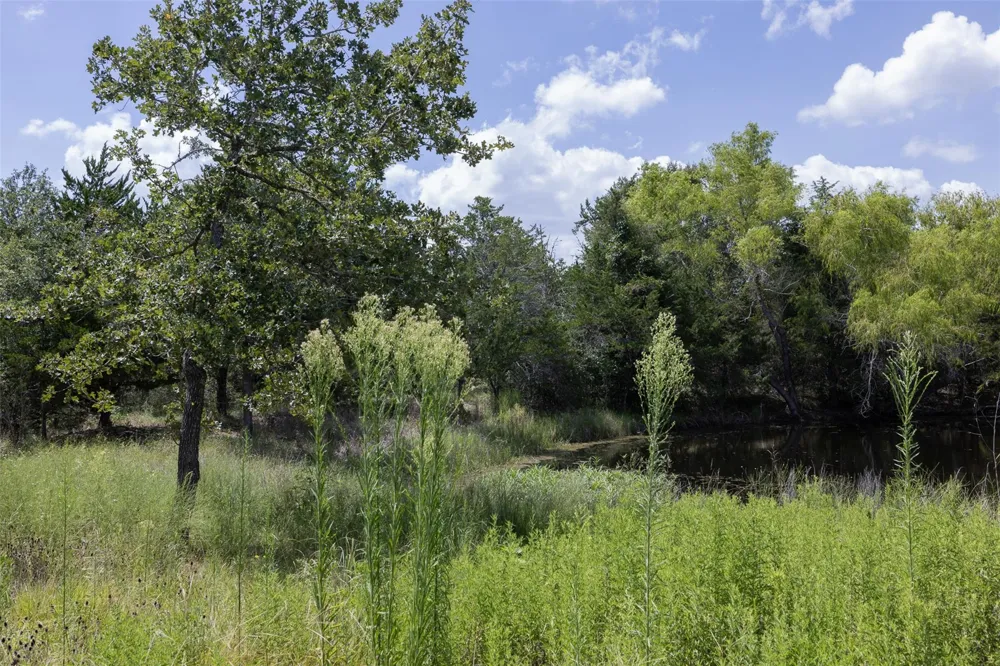 11201 Wildlife Circle Carmine, TX 78932