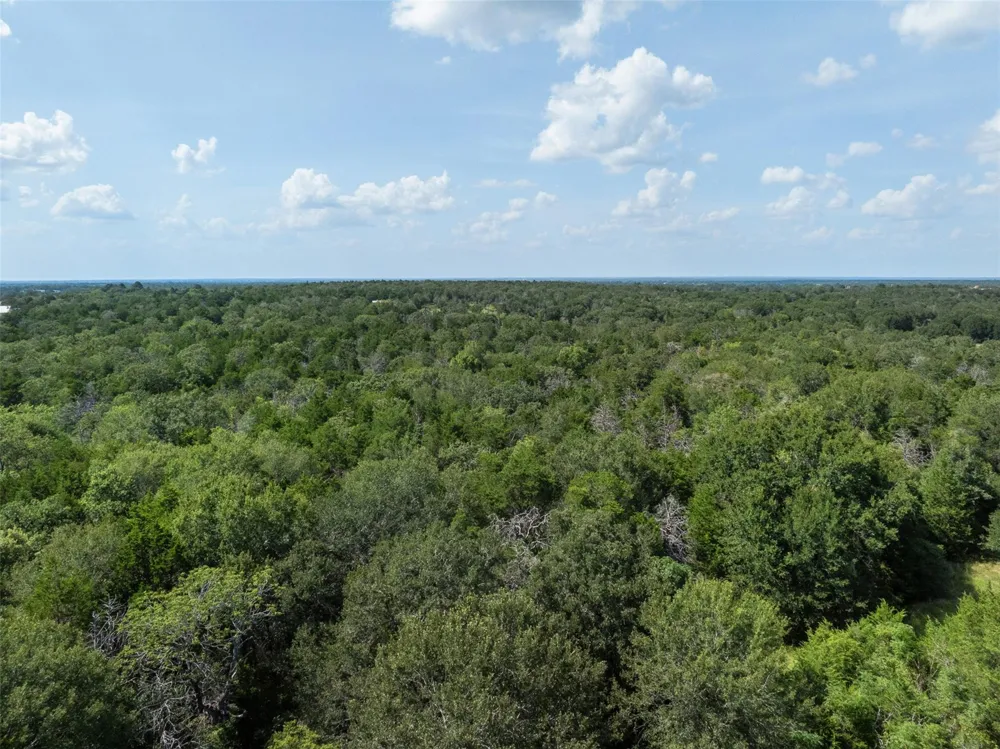 11201 Wildlife Circle Carmine, TX 78932