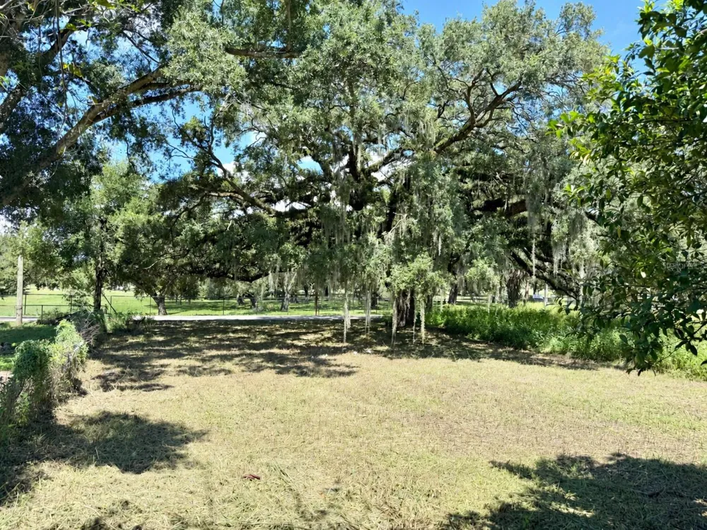 4621 E LAKE AVENUE Tampa, FL 33610