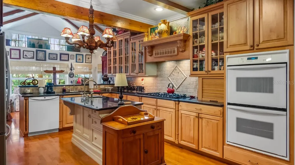 403 MISSION LANE Howey In The Hills, FL 34737