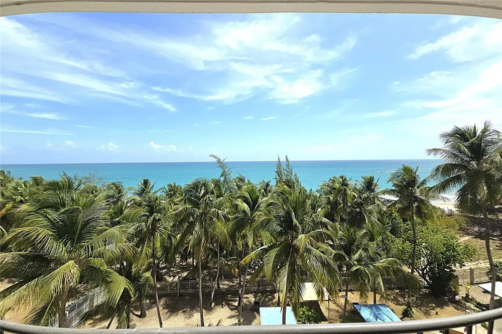 37 AVE. ISLA VERDE Carolina, PR 00979