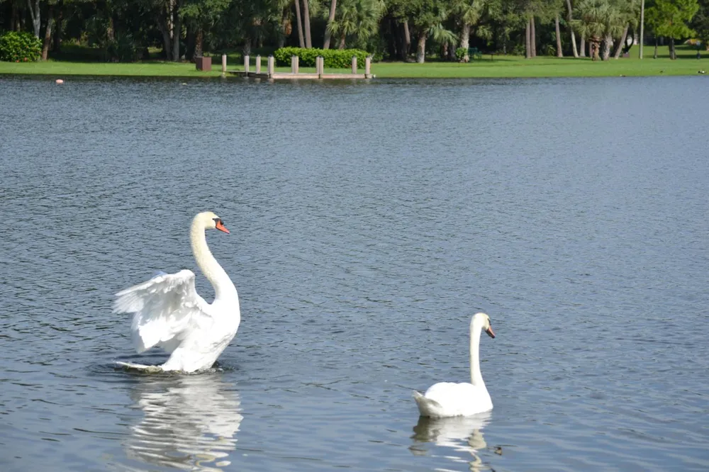 3130 KINGSWOOD TERRACE Boca Raton, FL 33431