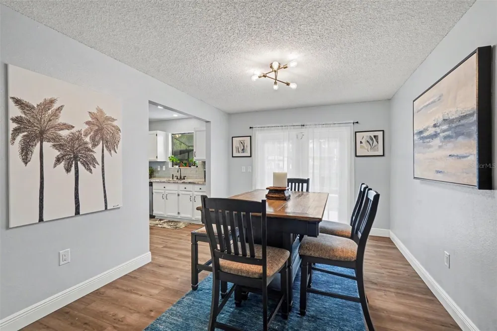 736 SANDY CREEK DRIVE Brandon, FL 33511