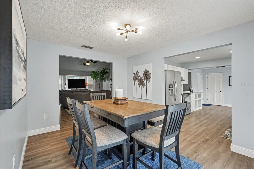 736 SANDY CREEK DRIVE Brandon, FL 33511