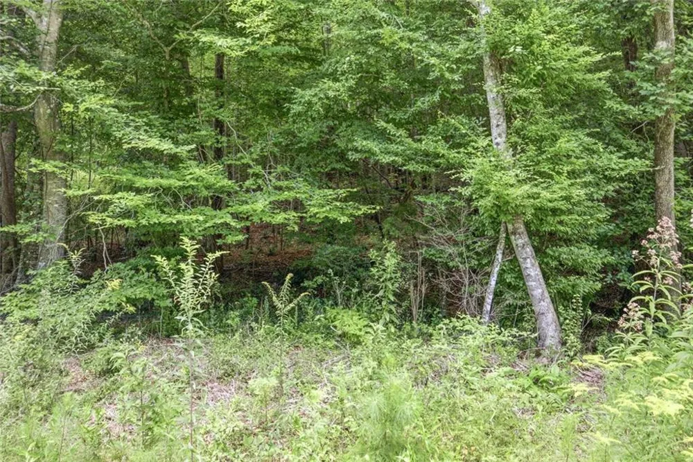 1292 Harbert Valley Road Toccoa, GA 30577