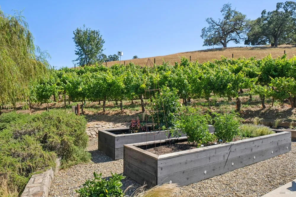 1297 Leaning Oak Drive Napa, CA 94558