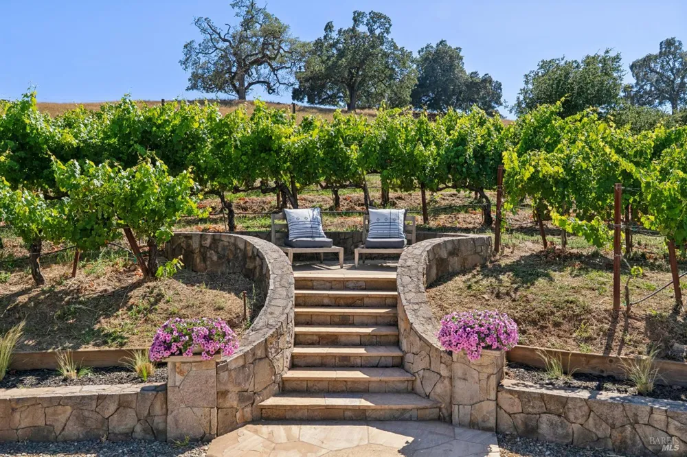 1297 Leaning Oak Drive Napa, CA 94558