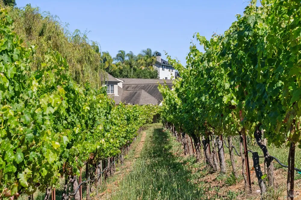 1297 Leaning Oak Drive Napa, CA 94558