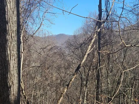 Whisper Mountain Road