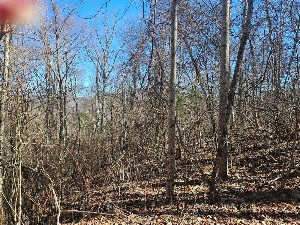 Whisper Mountain Road Franklin, NC 28734