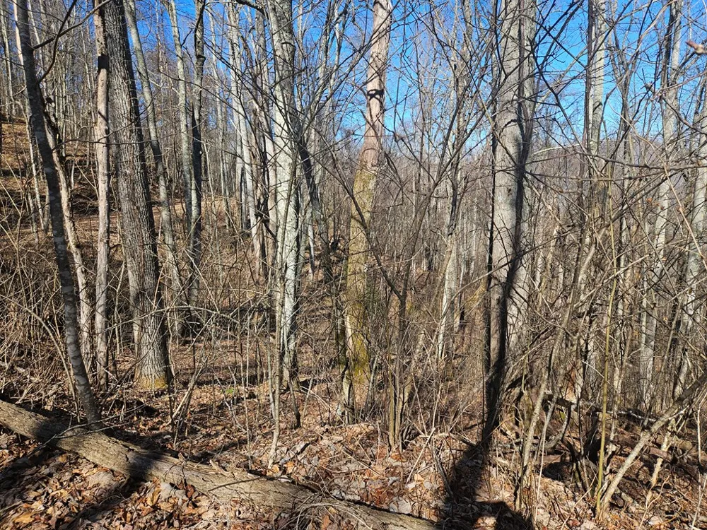 Whisper Mountain Road Franklin, NC 28734