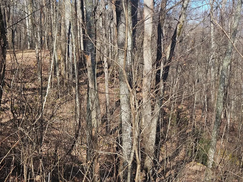 Whisper Mountain Road Franklin, NC 28734