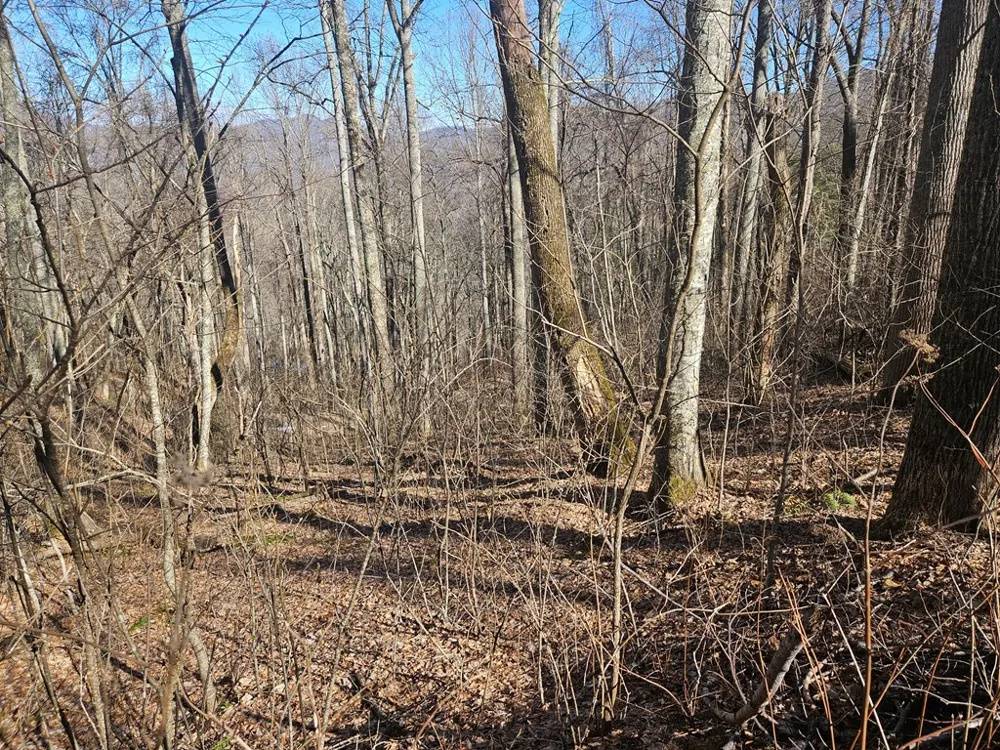 Whisper Mountain Road Franklin, NC 28734