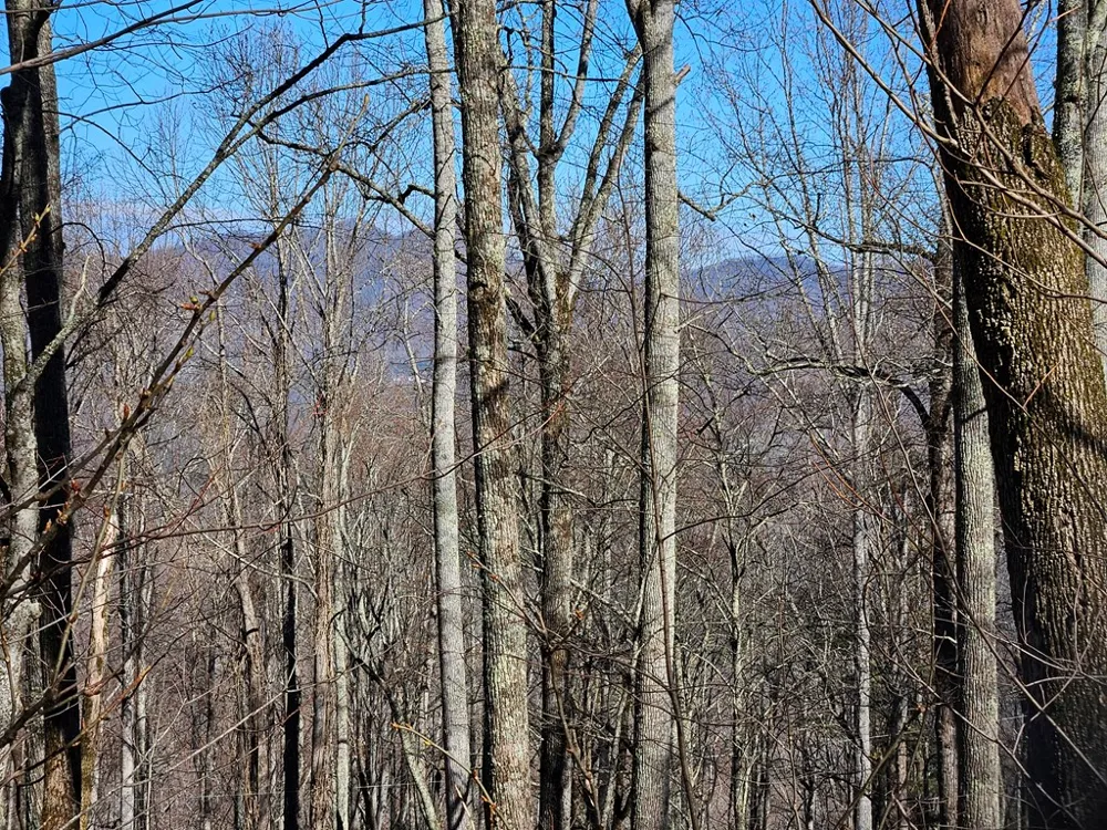 Whisper Mountain Road Franklin, NC 28734
