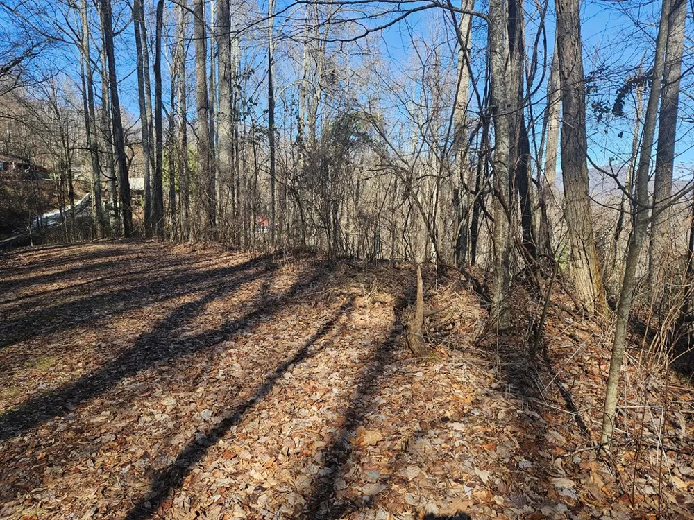 Whisper Mountain Road Franklin, NC 28734