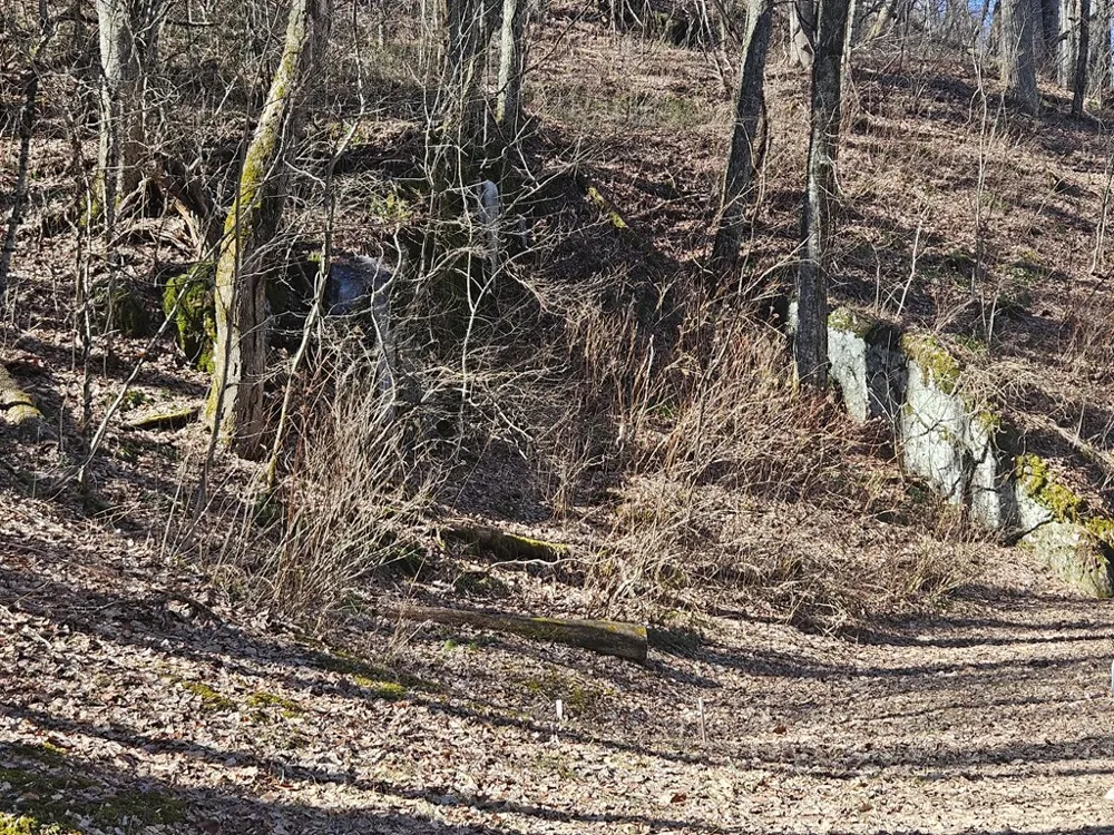 Whisper Mountain Road Franklin, NC 28734
