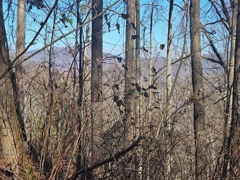Whisper Mountain Road Franklin, NC 28734