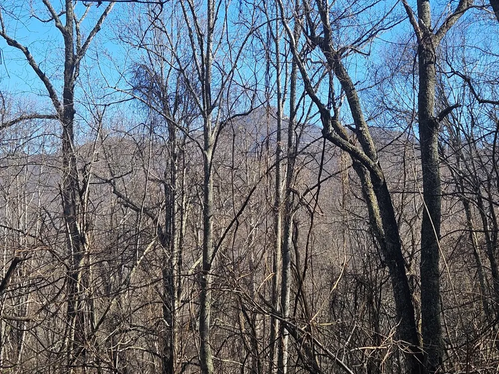Whisper Mountain Road Franklin, NC 28734