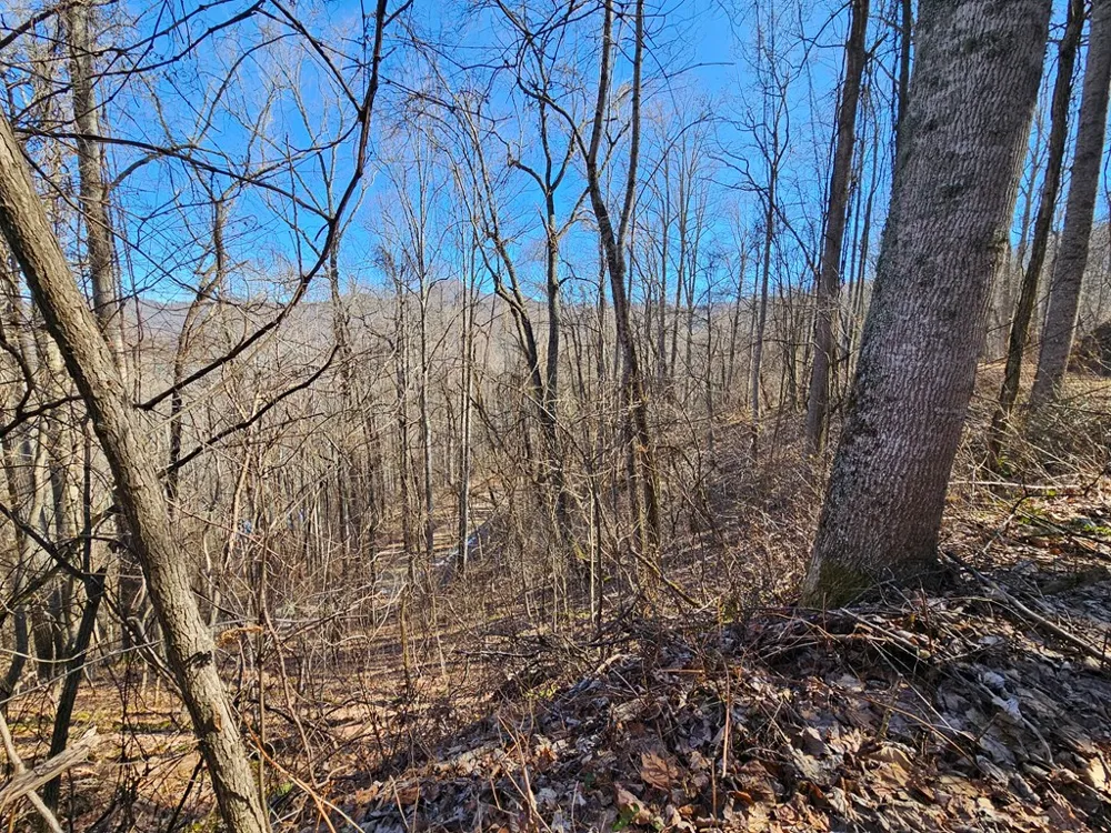 Whisper Mountain Road Franklin, NC 28734