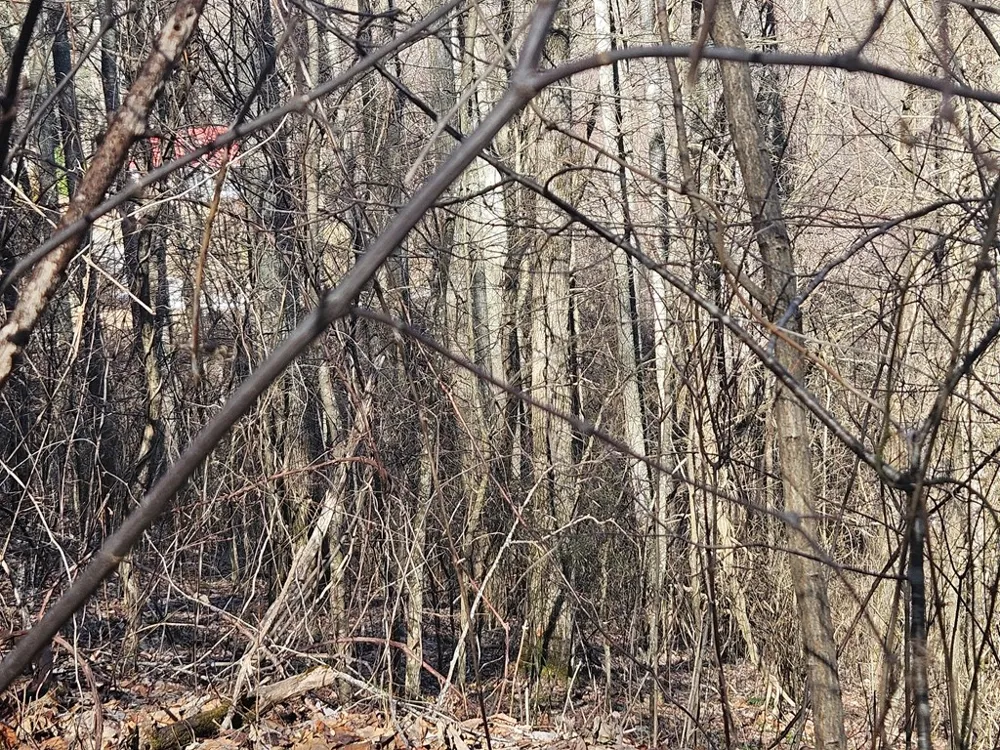 Whisper Mountain Road Franklin, NC 28734