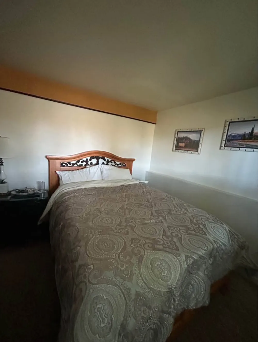 405 High Meadow Court Hayden, CO 81639