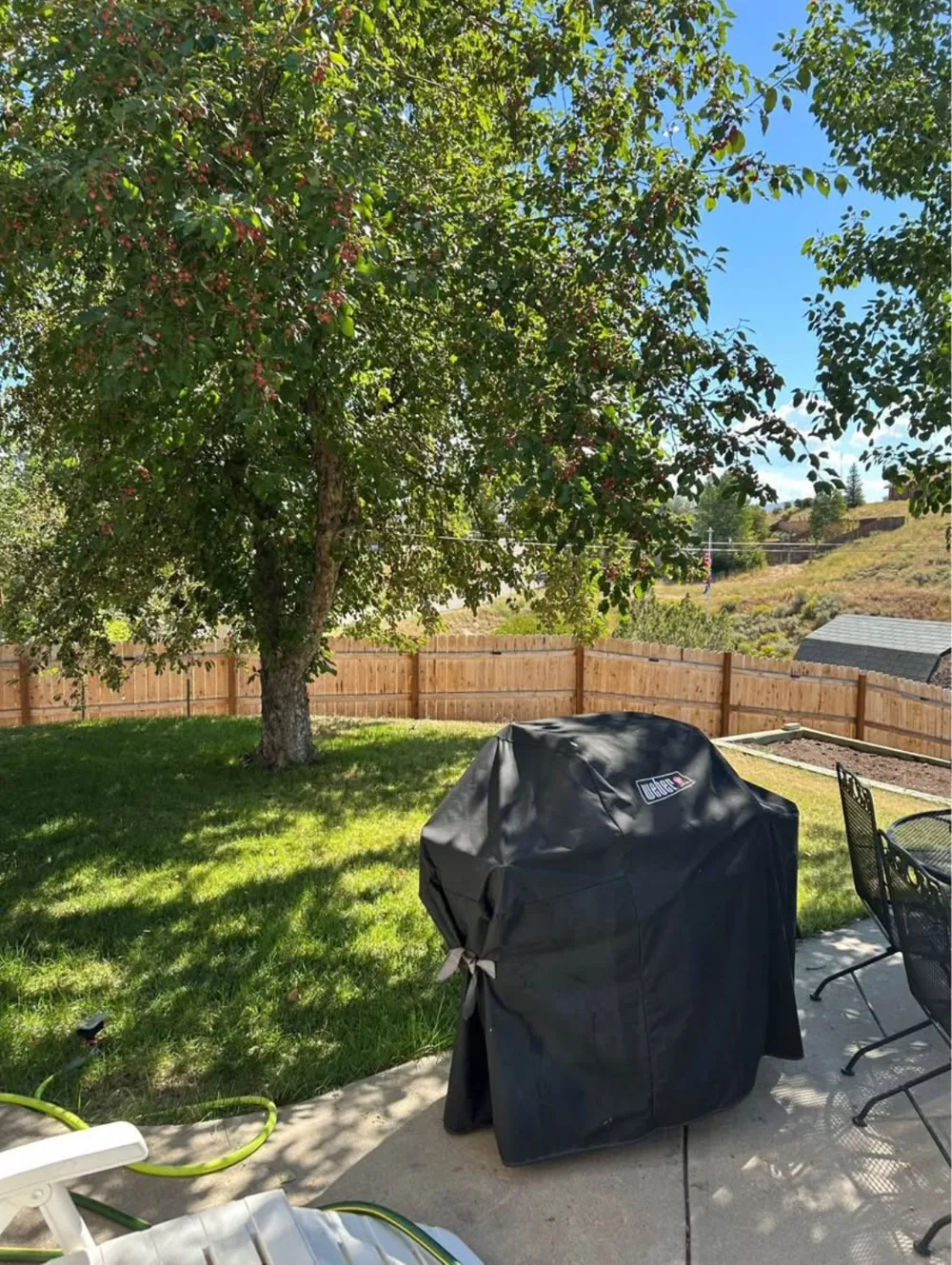 405 High Meadow Court Hayden, CO 81639