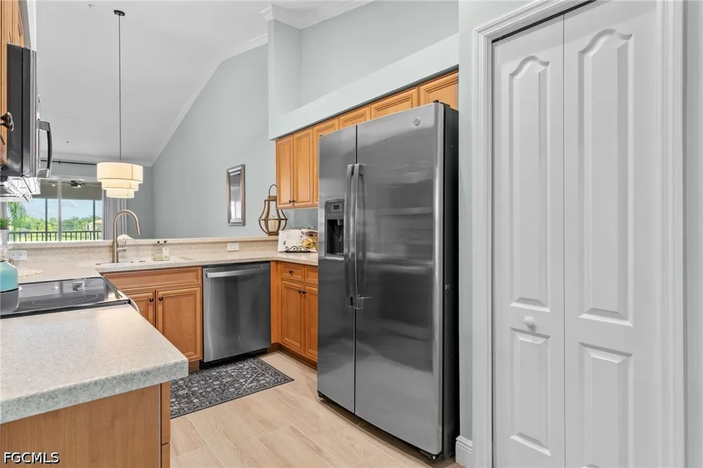 Barletta Lane #923 Estero, FL 33928