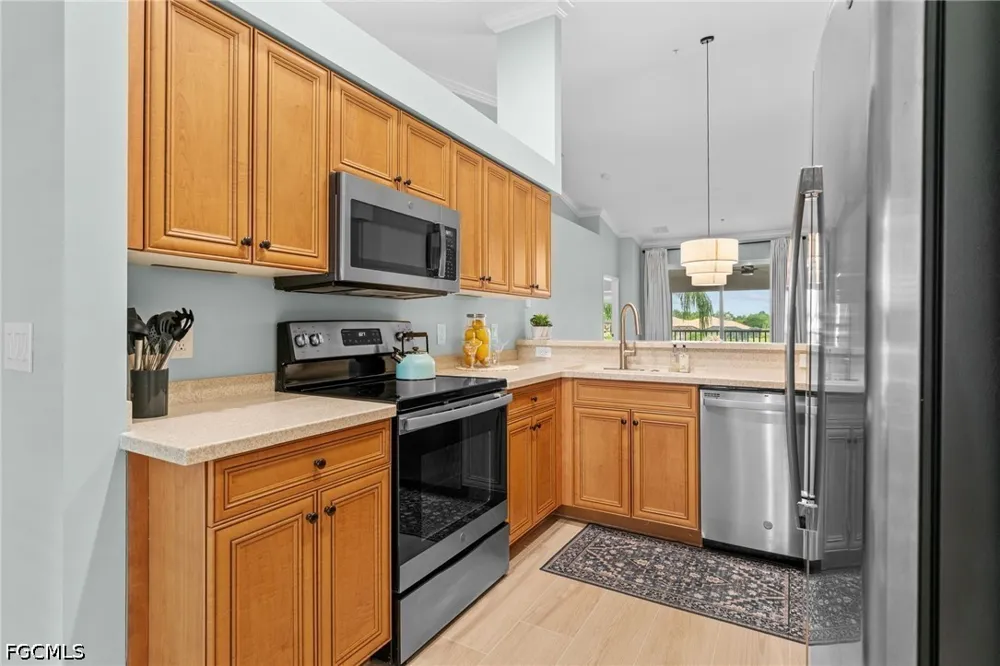 Barletta Lane #923 Estero, FL 33928