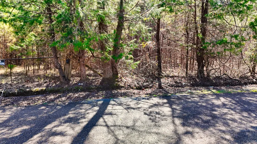 0 Bishop Rd Middleton, TN 38052