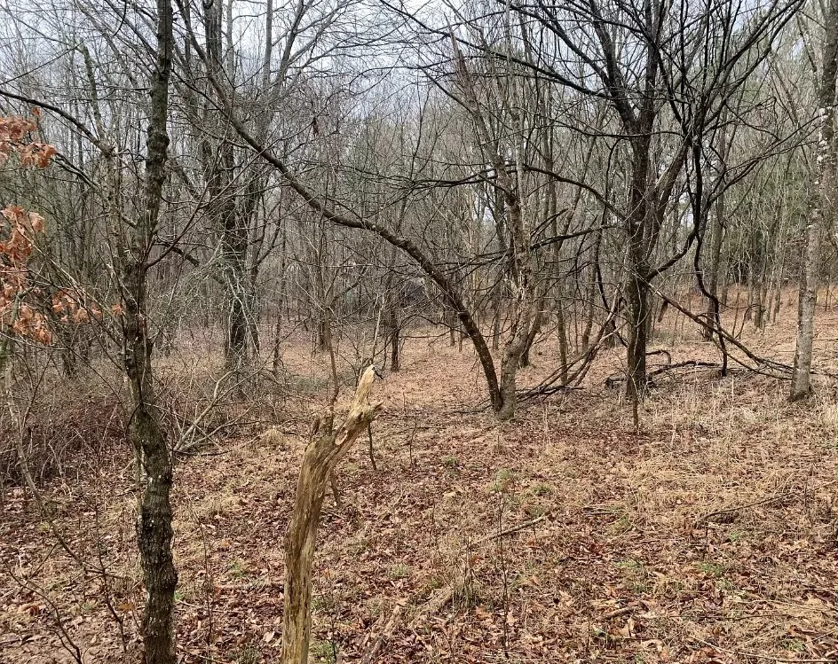 0 Bishop Rd Middleton, TN 38052