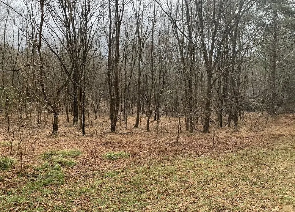 0 Bishop Rd Middleton, TN 38052