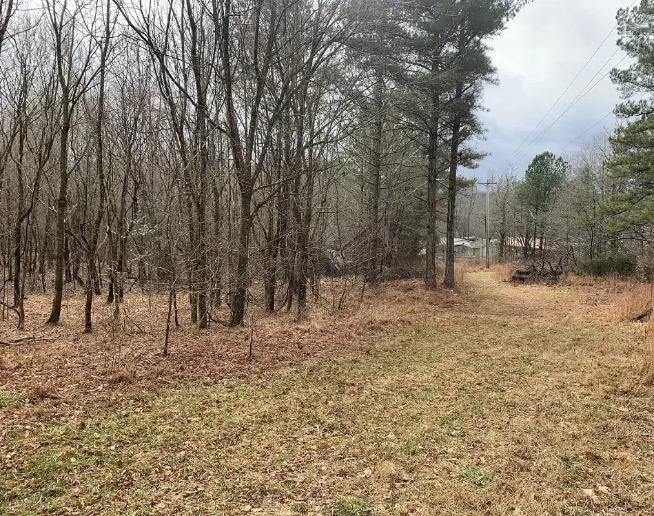 0 Bishop Rd Middleton, TN 38052