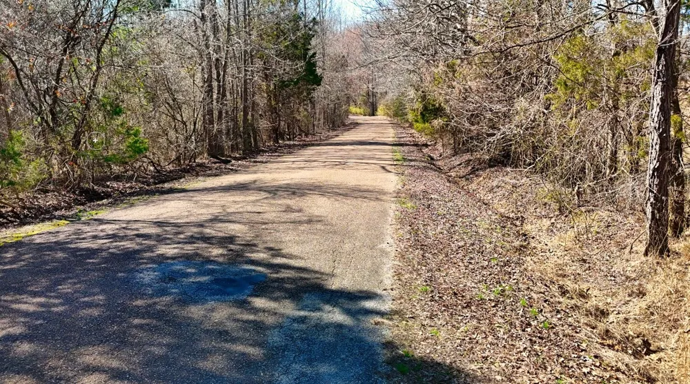 0 Bishop Rd Middleton, TN 38052