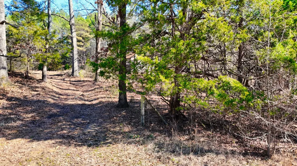 0 Bishop Rd Middleton, TN 38052